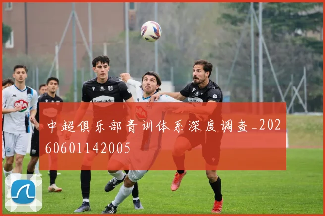中超俱乐部青训体系深度调查_20260601142005