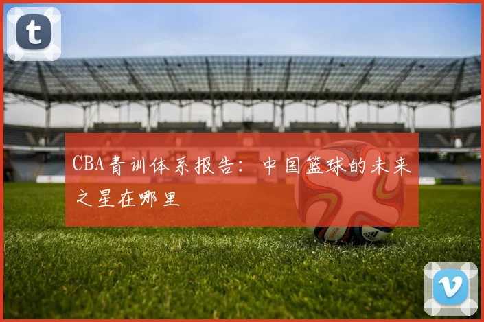 CBA青训体系报告：中国篮球的未来之星在哪里