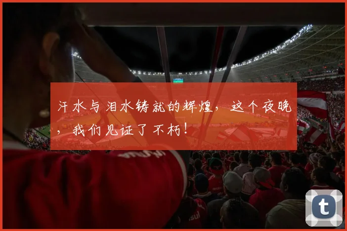 汗水与泪水铸就的辉煌，这个夜晚，我们见证了不朽！